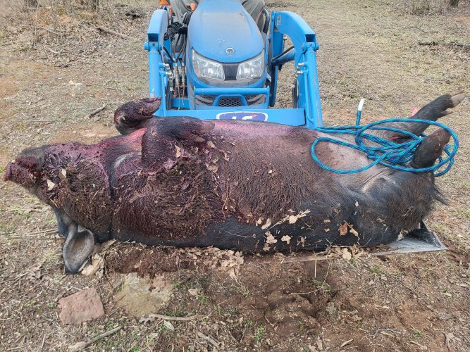 20260122_170650.jpg 20260122_170650.jpg