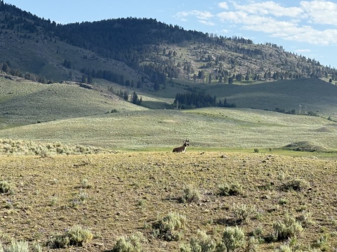 IMG_3507.jpeg IMG_3507.jpeg