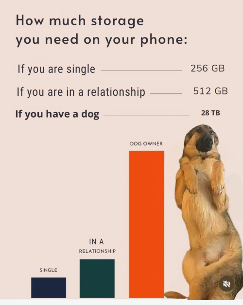 1769265812344.png
