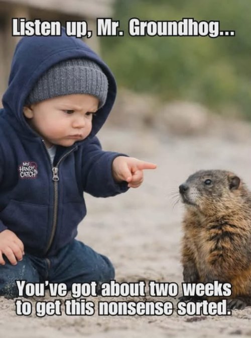 groundhog.jpg