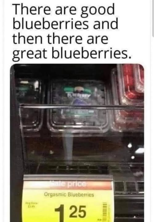 1769291919971.png
