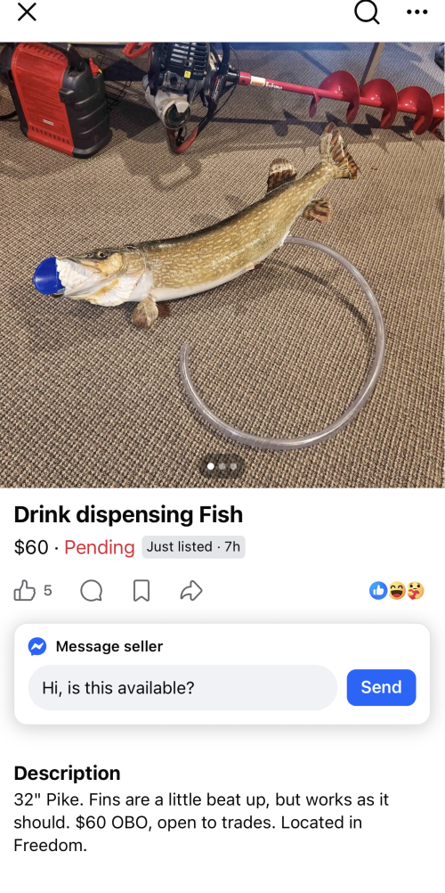1769294562002.png