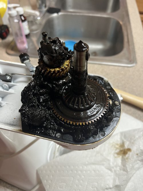 IMG_3142.jpeg IMG_3142.jpeg