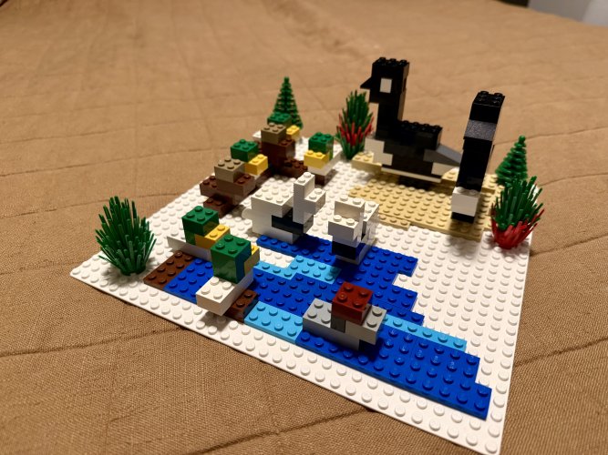 IMG_5378.jpeg
