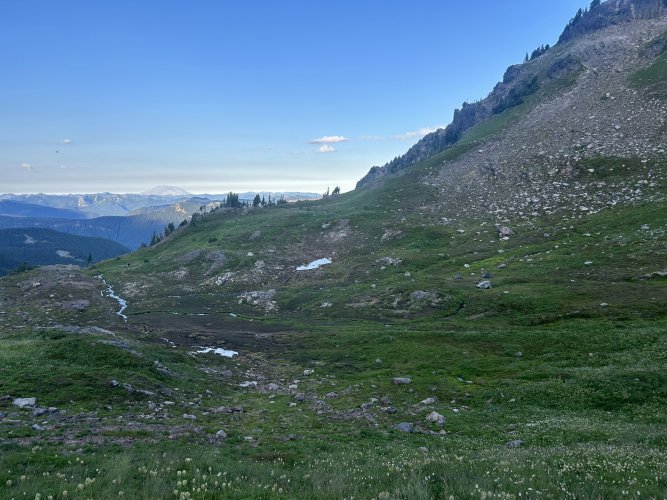 IMG_1120.jpg