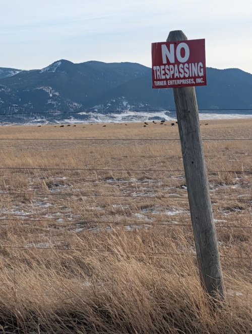 5 round wire good Bison fence.jpg