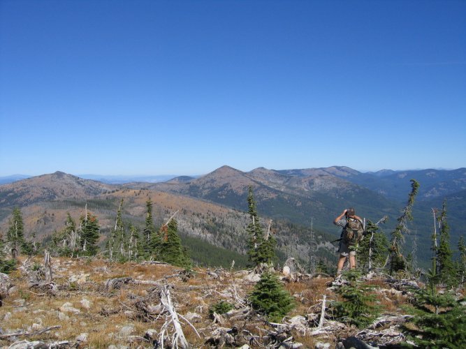 890_9031.JPG