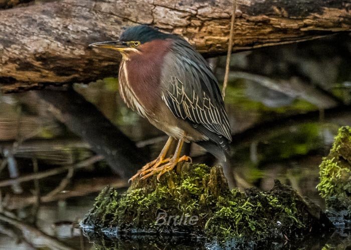 January 2026 -1273.jpg