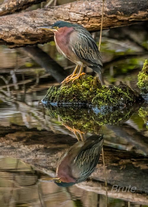 January 2026 -1268.jpg