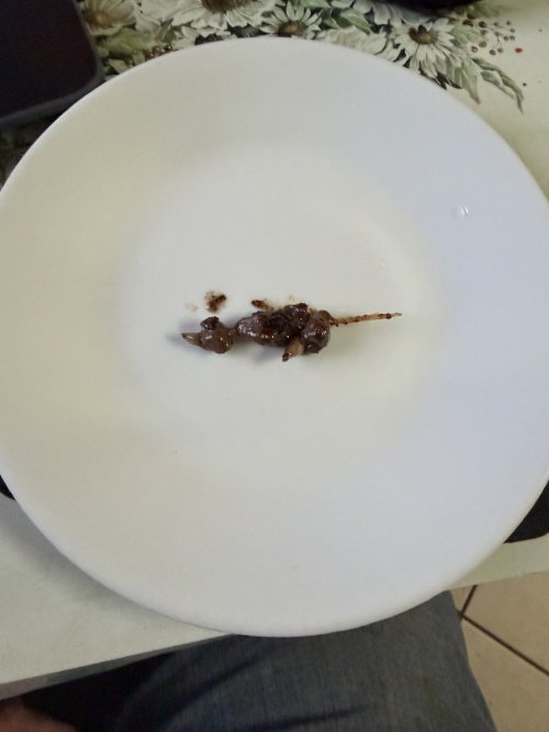 IMG_0266.jpeg IMG_0266.jpeg