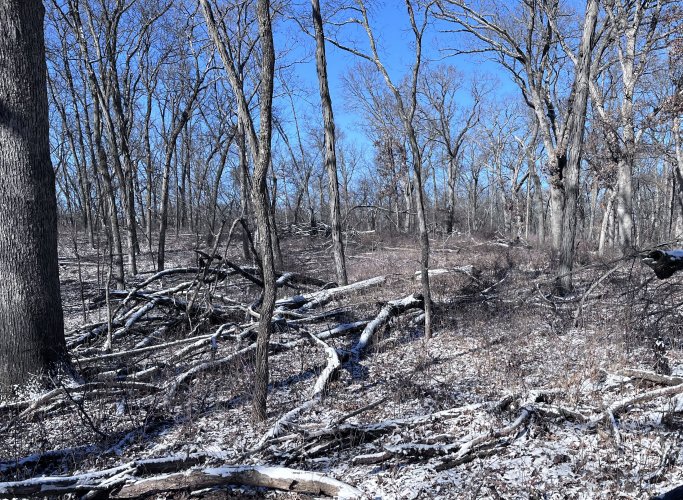 IMG_2313.jpeg IMG_2313.jpeg