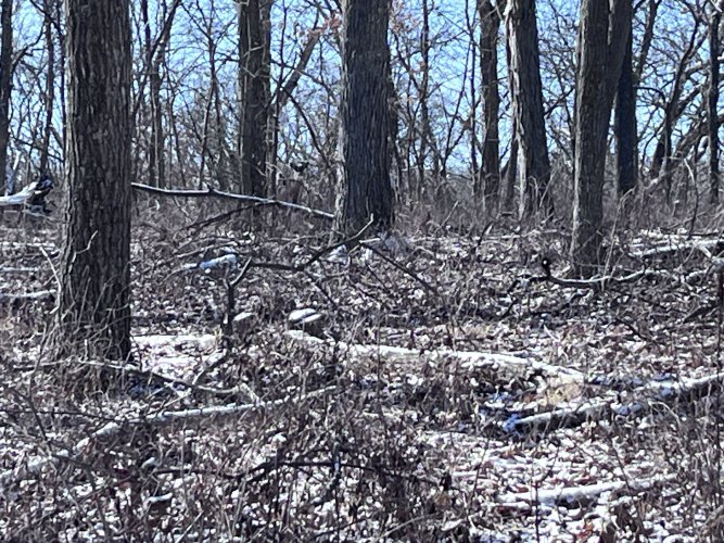 IMG_2316.jpeg IMG_2316.jpeg