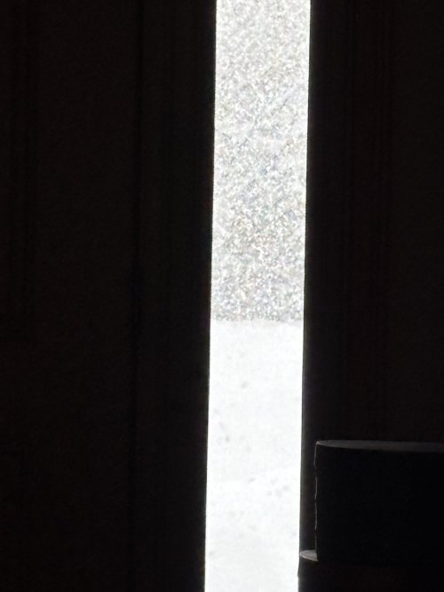IMG_1827.jpeg