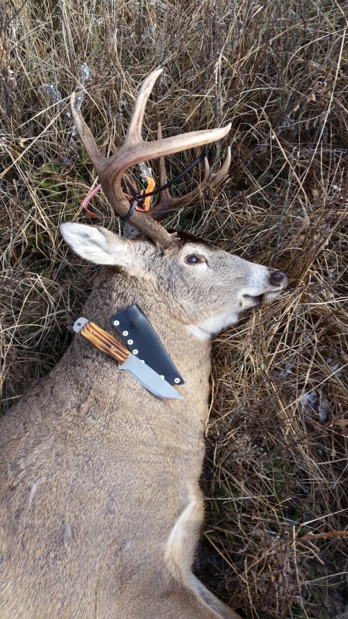 20161125_115120.jpg 20161125_115120.jpg