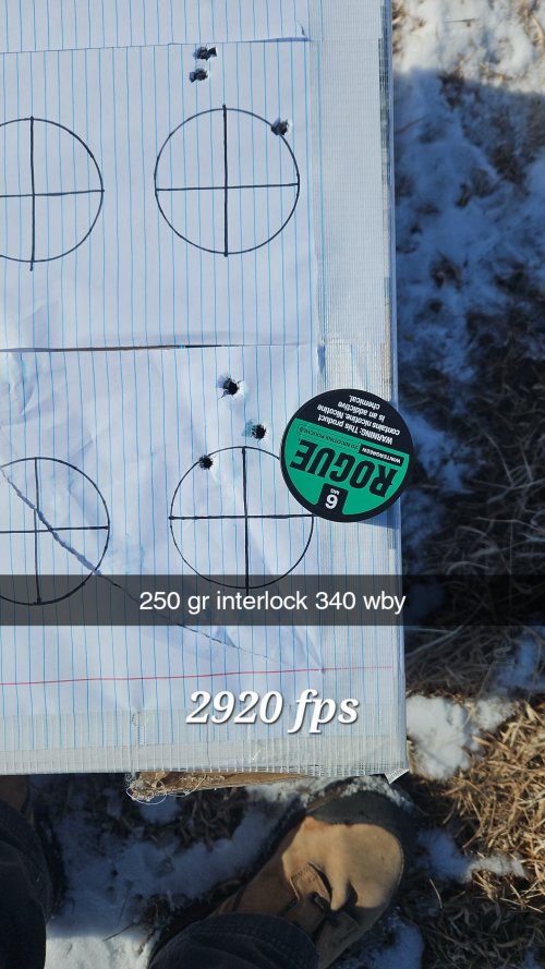 1000012572.jpg
