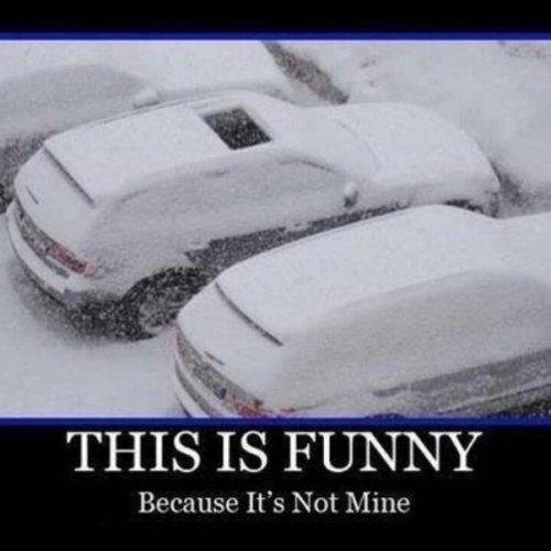 IMG_1863.jpeg