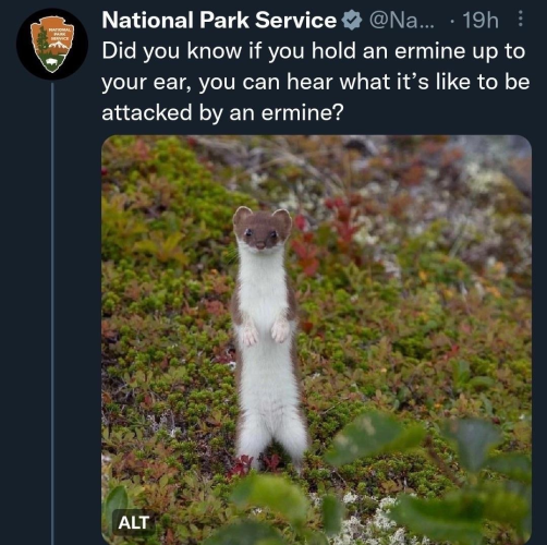1769696493762.png
