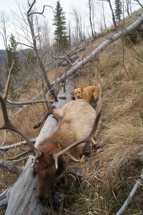 995E4C31-145A-4CEF-8107-509A2CF8116A.jpeg 995E4C31-145A-4CEF-8107-509A2CF8116A.jpeg