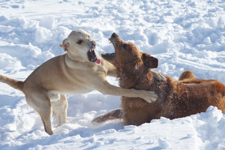 F9745734-6960-42A9-B017-0A77A58A9A50.jpeg F9745734-6960-42A9-B017-0A77A58A9A50.jpeg