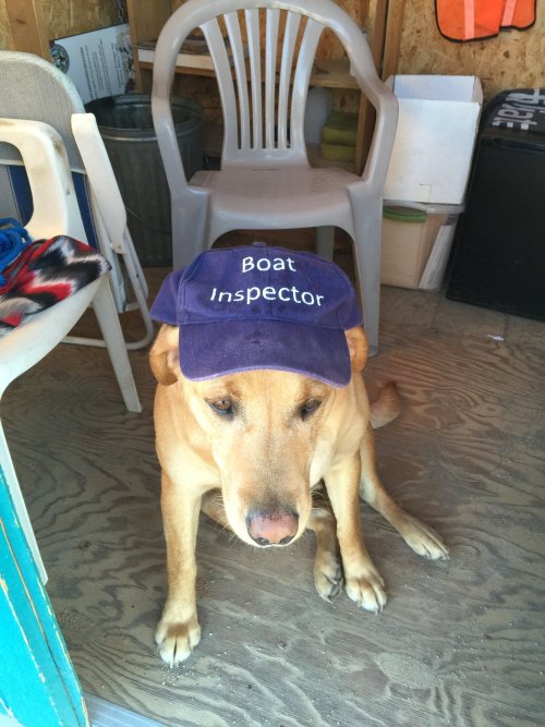 B366AED4-8B96-4F5C-8F81-6EC5C7AEC32E.jpeg B366AED4-8B96-4F5C-8F81-6EC5C7AEC32E.jpeg