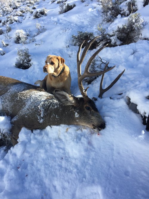 CDDF0BA2-9C8B-473F-9EBA-EB387872FD44.jpeg CDDF0BA2-9C8B-473F-9EBA-EB387872FD44.jpeg