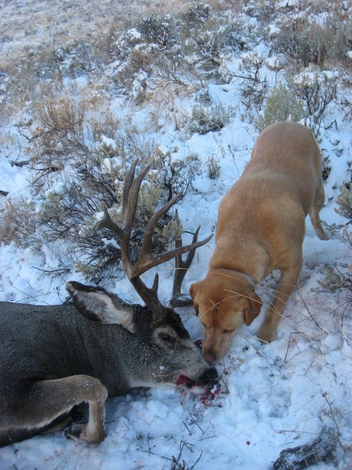 66C342F8-01AF-4422-8739-935FBFE3A911.jpeg 66C342F8-01AF-4422-8739-935FBFE3A911.jpeg