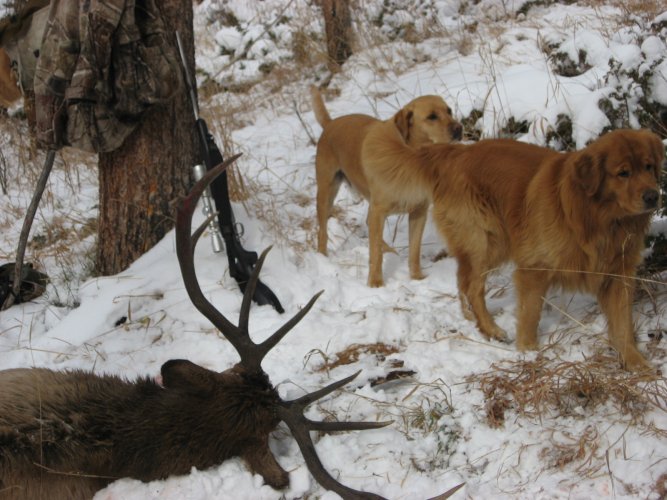 8E6E062D-9417-40BF-AD69-E86521FB7A85.jpeg 8E6E062D-9417-40BF-AD69-E86521FB7A85.jpeg