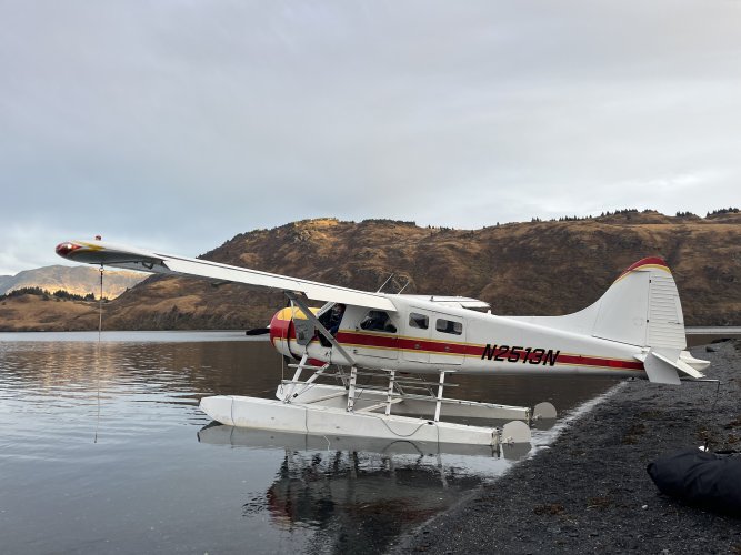 1769754133645.jpeg 1769754133645.jpeg