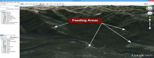 Google Earth_Feeding Areas.jpg