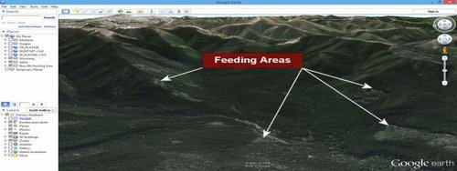 Google Earth_Feeding Areas.jpg Google Earth_Feeding Areas.jpg