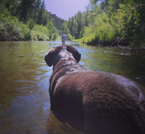 gracie fishing.jpg
