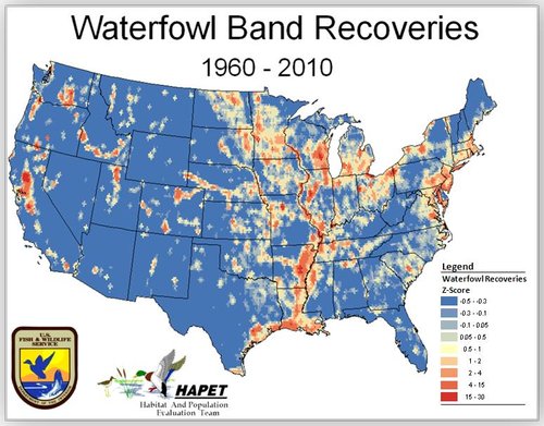 WaterfowlRecoveries1960-2010.jpg