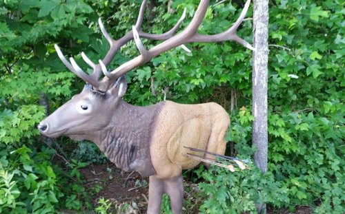 elk.jpg