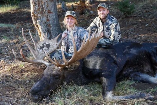 moose (4 of 5).jpg