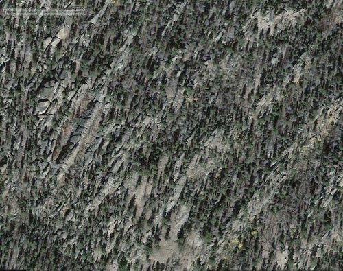 Area 1 closeup.jpg Area 1 closeup.jpg