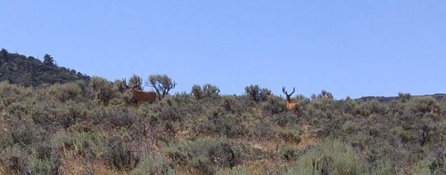 Crouse-Canyon-02-890x350.jpg Crouse-Canyon-02-890x350.jpg
