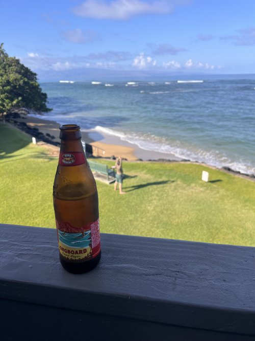 1769801848375.jpeg 1769801848375.jpeg