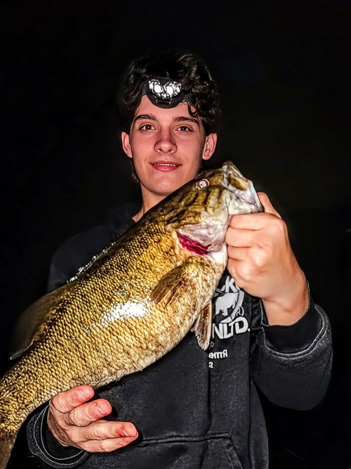 IMG_20250907_152038~2.jpg IMG_20250907_152038~2.jpg