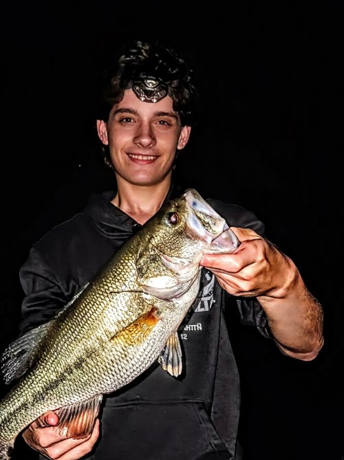 IMG_20250907_152034~2.jpg IMG_20250907_152034~2.jpg