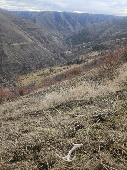 20260130_092559.jpg 20260130_092559.jpg