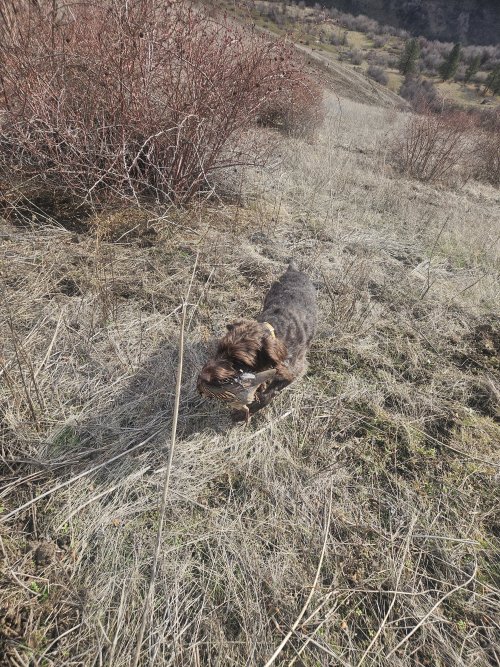 20260130_093143.jpg 20260130_093143.jpg