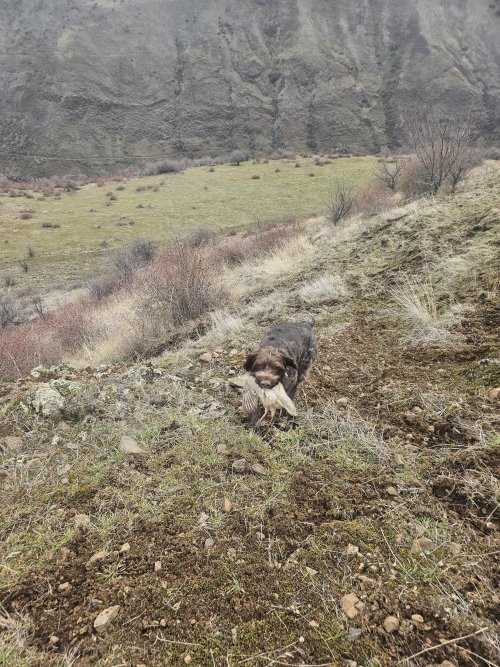 20260130_095023.jpg 20260130_095023.jpg