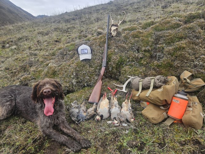 20260130_111936.jpg 20260130_111936.jpg