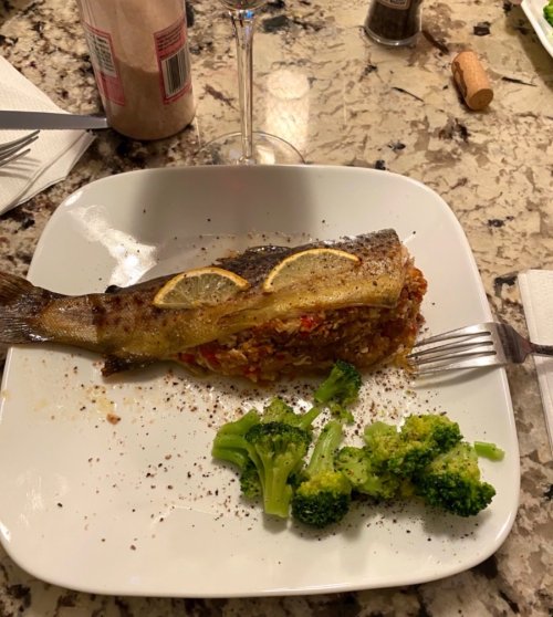 IMG_1079.jpeg IMG_1079.jpeg