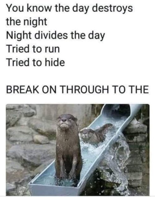 GwIm9sOW8AAxZEu.jpeg