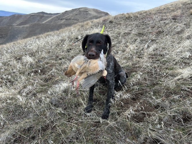 IMG_3986.jpeg IMG_3986.jpeg