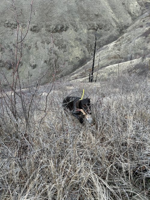 IMG_3988.jpeg IMG_3988.jpeg