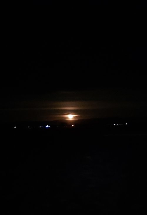 20260202_185109.jpg