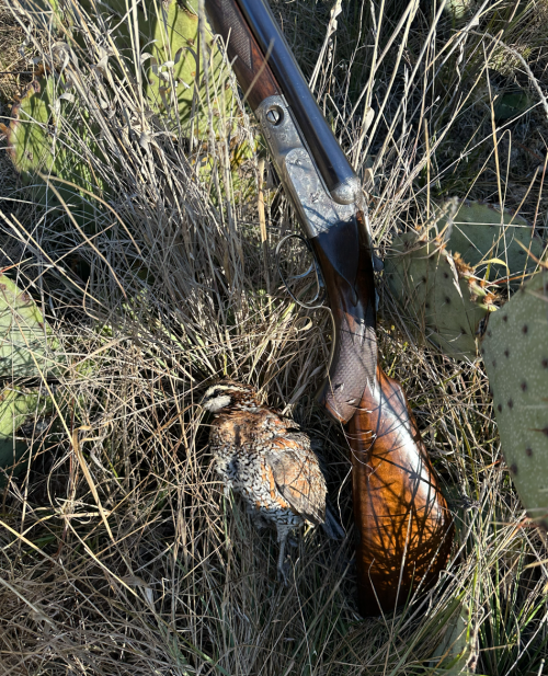 ParkerQuail.png