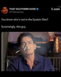 1770241348033.png